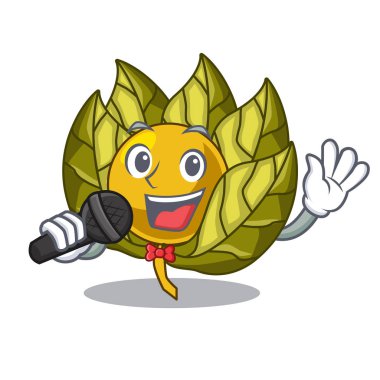 Physalis karakter izole meyve şarkı