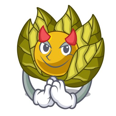 Şeytan physalis meyve karakter izole