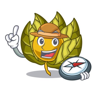 Karakter izole explorer physalis meyve