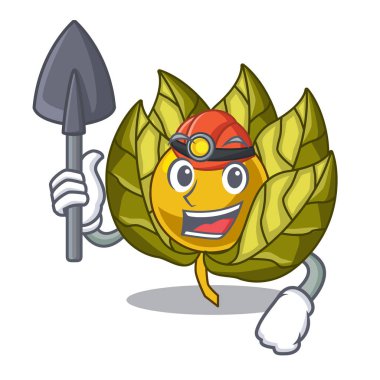 Madenci physalis meyve karakter izole