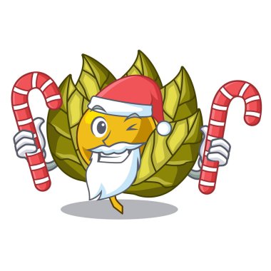Santa ile şeker physalis meyve karikatür şeklinde