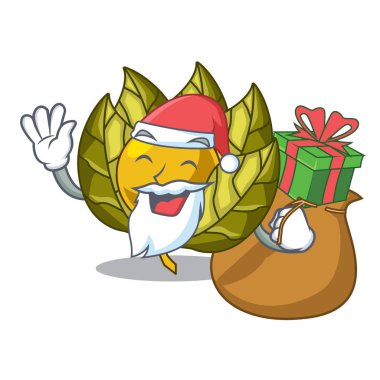 Noel Baba hediye physalis meyve karikatür şeklinde