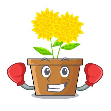 Boks dahlia çiçeği karikatür şeklinde