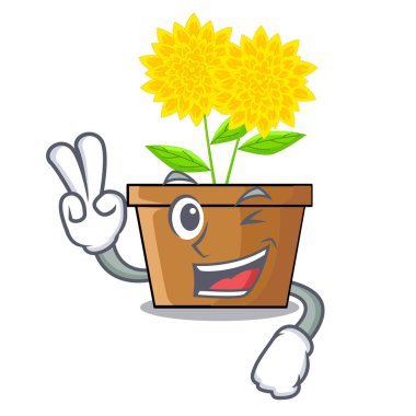 İki yıldız çiçeği çiçek karikatür izole parmak