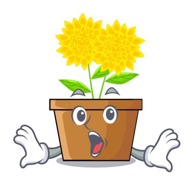 Maskot kök sürpriz dahlia çiçeği