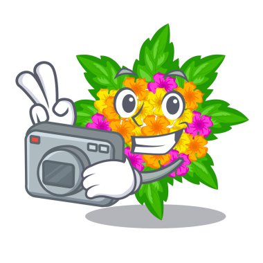 Fotoğrafçı lantana çiçekler çizgi film şeklinde