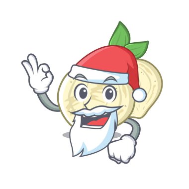 Bir karikatür şeklinde Santa Jicama