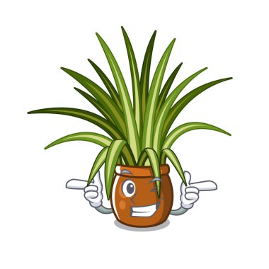 Maskot ile izole Wink örümcek bitki