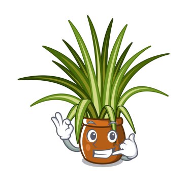 Bana karikatür bahçesinde örümcek bitkileri de.