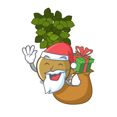 Hediye yeşim bitki ile Santa karikatür kök yetişir