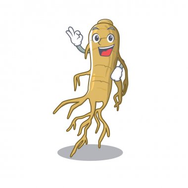 Tamam ginseng bitkiler kök karakter yayıldı