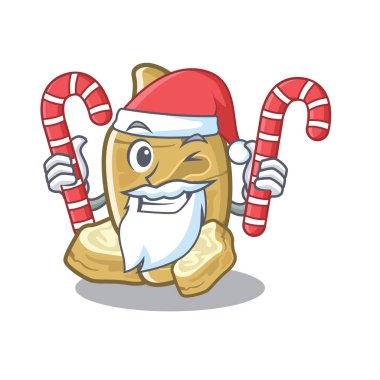 Karakter buzdolabında şeker kudüs enginar ile Santa