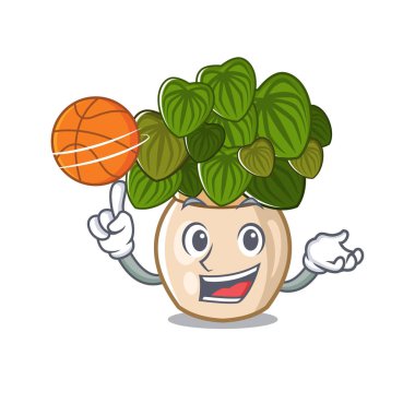 Basketbol peperomia ile bir maskot potasında yetişir