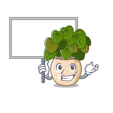 Bir maskot pota sında yetişen kart peperomia getirin