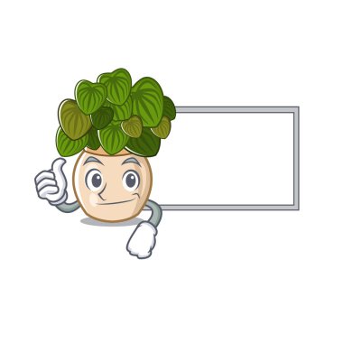 Tahta peperomia ile Thumbs bir maskot pot büyür