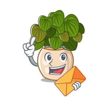 Zarf peperomia karakter içinde izole ile