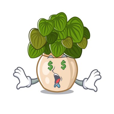 Karikatür şeklinde para göz peperomia