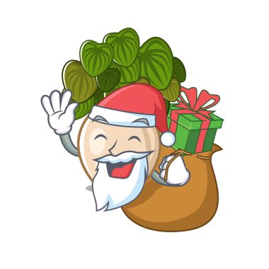 Karikatür şeklinde hediye peperomia ile Santa