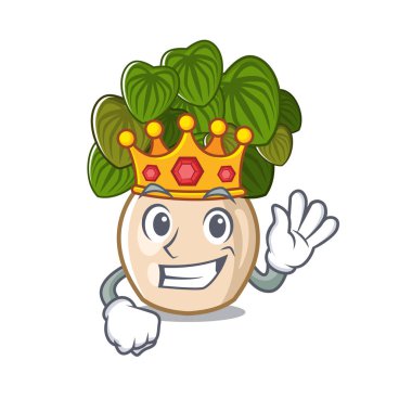 Karikatür şeklinde Kral peperomia