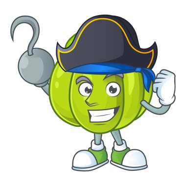 Madde gıda için Korsan yeşil kabak sebze