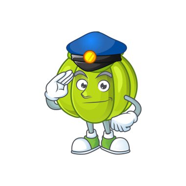 Madde gıda için Polis yeşil kabak sebze