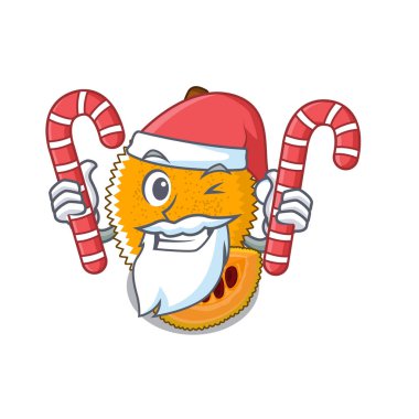 Maskot kase şeker tatlı gac meyve ile Santa