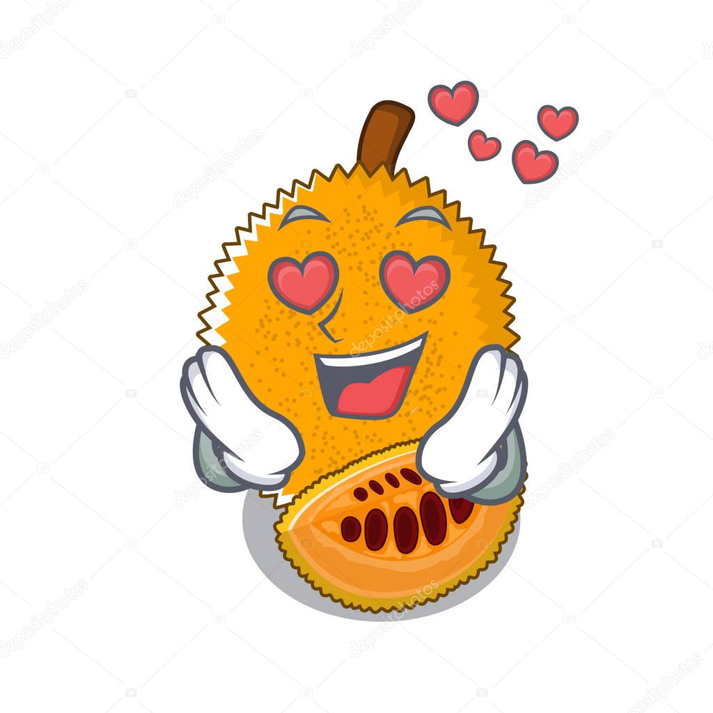 In love gac fruit isolated in the cartoon