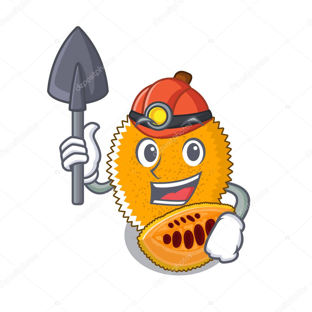 Miner gac fruit isolated in the cartoon