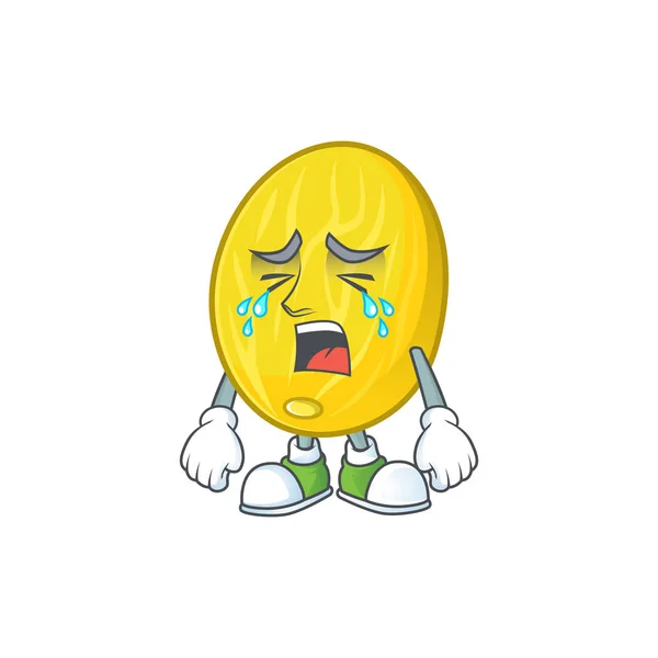 Weinende Fruchtmelone Cartoon-Figur mit Maskottchen — Stockvektor