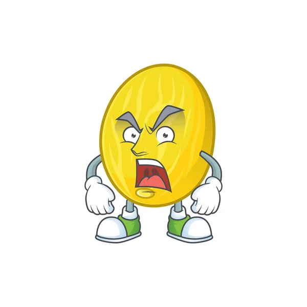 Caricatura de melón de fruta enojado personaje con mascota — Archivo Imágenes Vectoriales