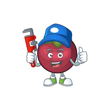 Beyaz arka plan üzerinde izole Tesisatçı karikatür mangosteen