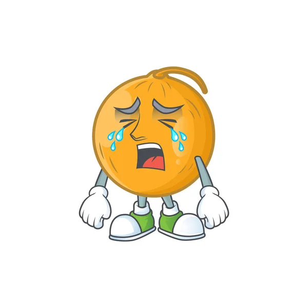 Crying ripe casaba melon in character mascot — Stock Vector