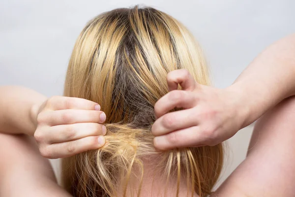 Femme Essaie Démêler Une Touffe Cheveux Concept Problèmes Cheveux — Photo