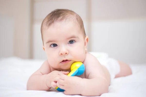 Menino Bonito Está Brincando Com Chocalho Brinquedo — Fotografia de Stock