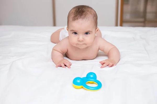 Menino Bonito Está Brincando Com Chocalho Brinquedo — Fotografia de Stock