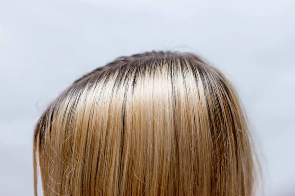 dark hair roots grow again after blonde dying. hair dye concept