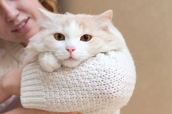 Ung Kvinna Som Bär Varma Tröja Leker Med Sin Katt — Stockfoto