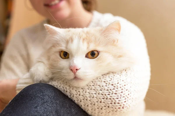 Ung Kvinna Som Bär Varma Tröja Leker Med Sin Katt — Stockfoto