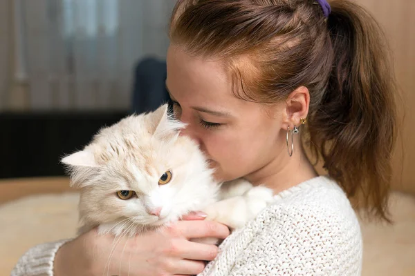 Sıcak kazak giyen genç kadın ile onu kedi oynuyor