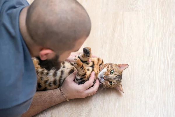 Man Spelar Med Sin Katt Hemma — Stockfoto