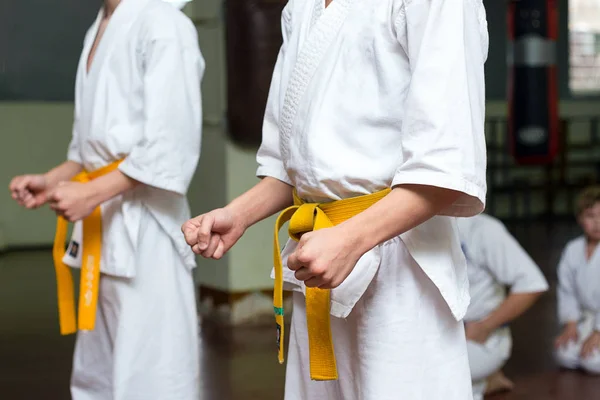 Grupo de niños en un entrenamiento de artes marciales — Foto de Stock