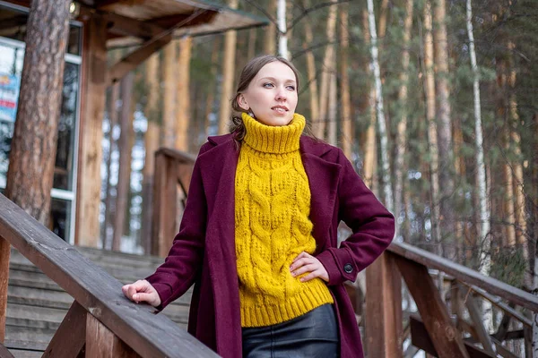 Portrait of a happy casual businesswoman in a sweater — Stock Photo, Image