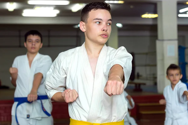 MIASS, RUSIA - 12 DE DICIEMBRE DE 2018: grupo de niños en entrenamiento de artes marciales — Foto de Stock