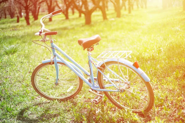 Bicicleta Azul Grama Verde Durante Dia — Fotografia de Stock