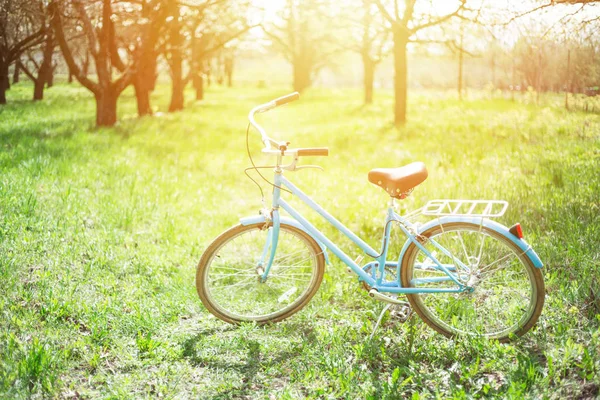 Bicicleta Azul Grama Verde Durante Dia — Fotografia de Stock