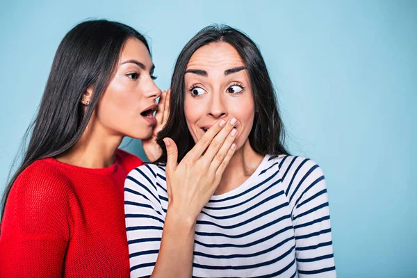 Portret Van Twee Brunettes Roddelen Blauwe Achtergrond — Stockfoto