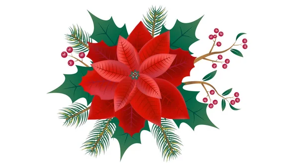 Christmas holly leaves and red christmas star, poinsettia blossom aranged with pine tree leaves and red berries, christmas decoration, bouquet