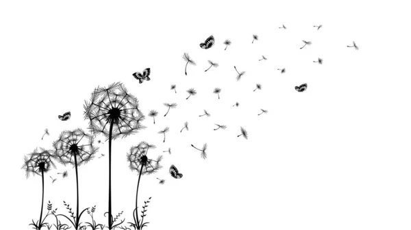 Black and white dandelion seeds and flowers with flying butterflies