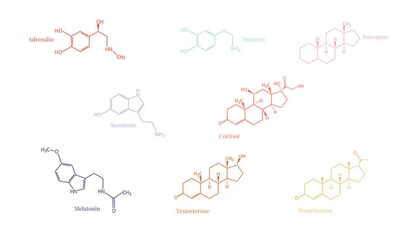 Set of 8 common hormone molecules structures including Adrenaline, Dopamine, Serotonin, Melatonin, Cortisol, Testosterone, Estrogen, and Progesterone, human biology, hormone balance, mental health