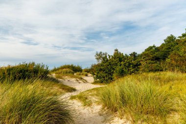 Scenic sand dune path with beach grass at the Baltic Sea coast, northern European coastal landscape, peaceful summer travel and nature background